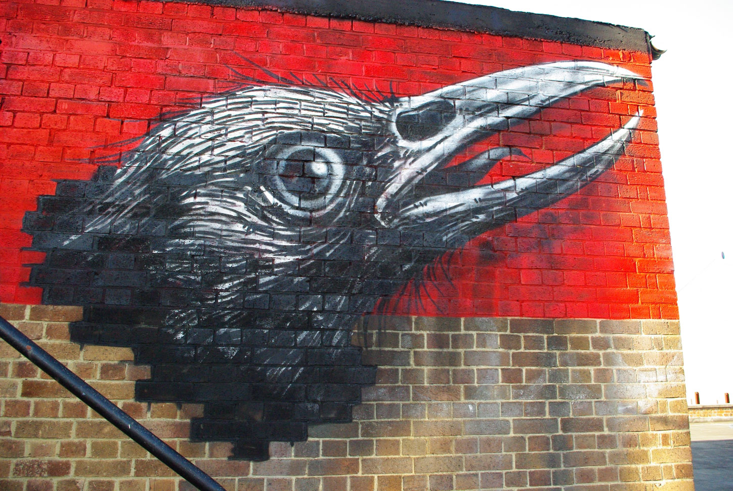 Roa Bird